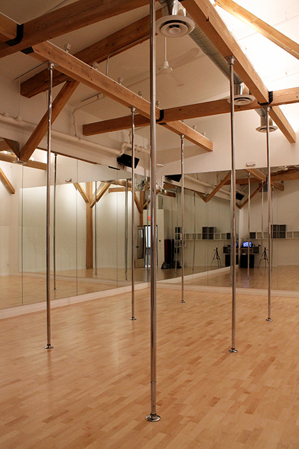 A view of the main dance studio, floor to ceiling fitness poles throughout, mirrors line the walls